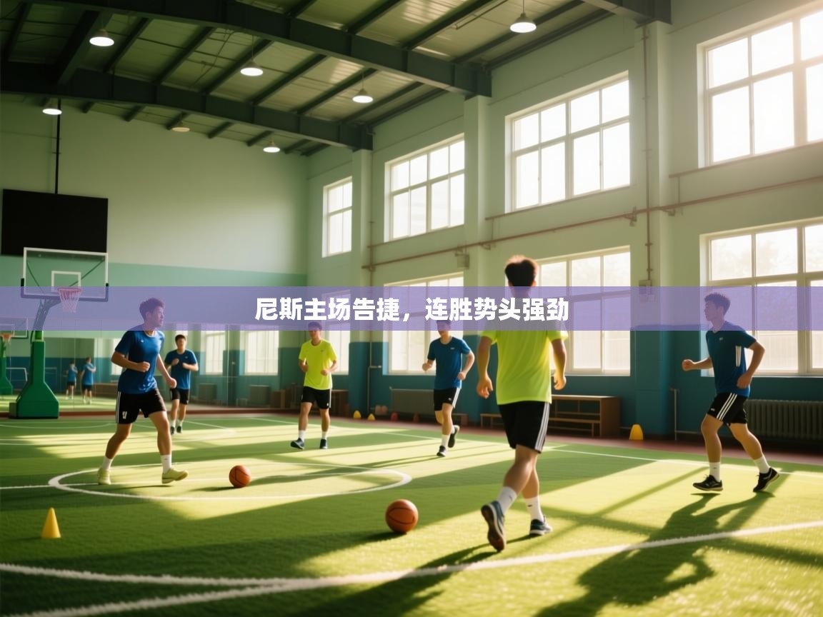 尼斯主场告捷,连胜势头强劲 第1张