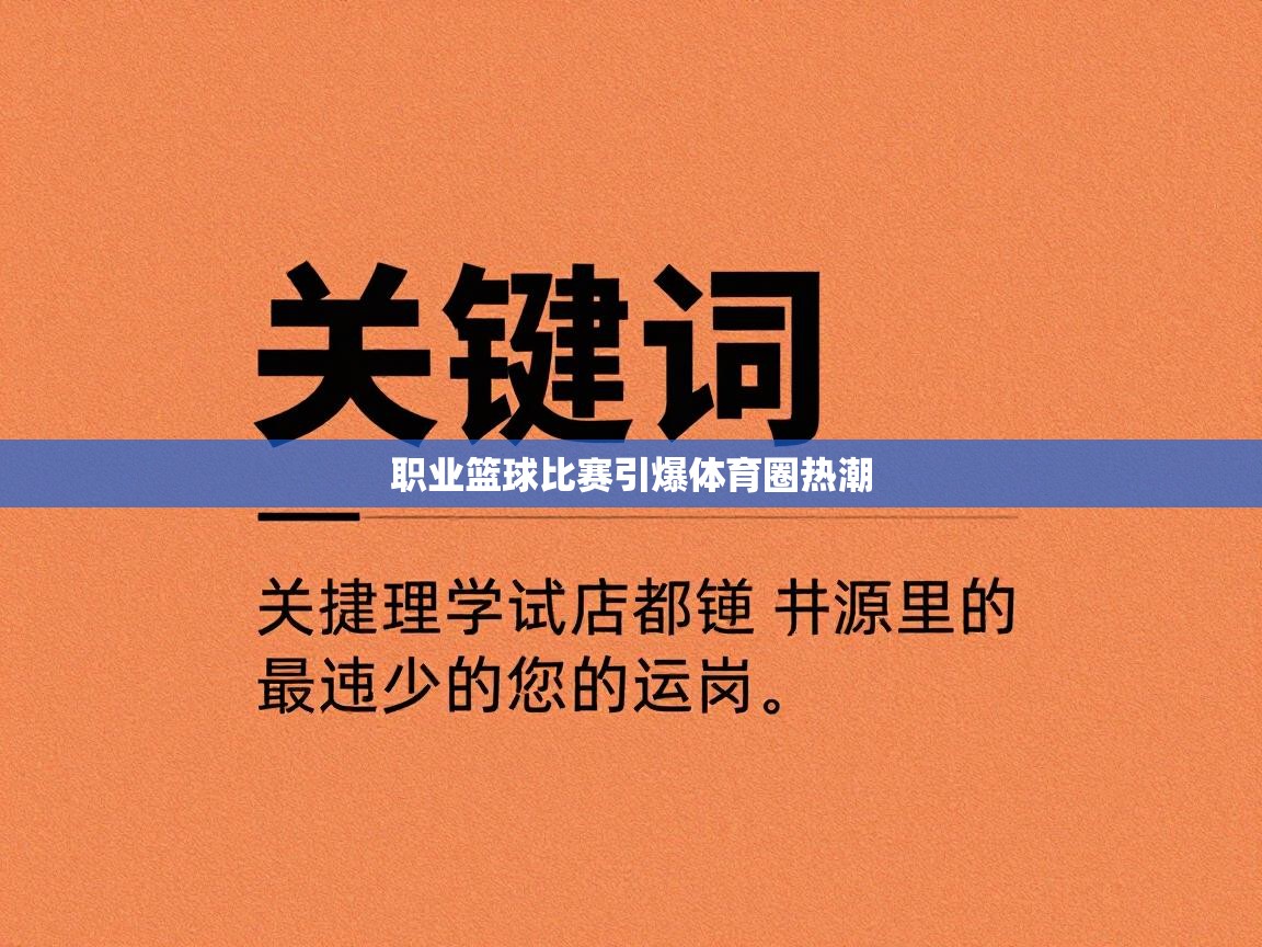 职业篮球比赛引爆体育圈热潮  第2张