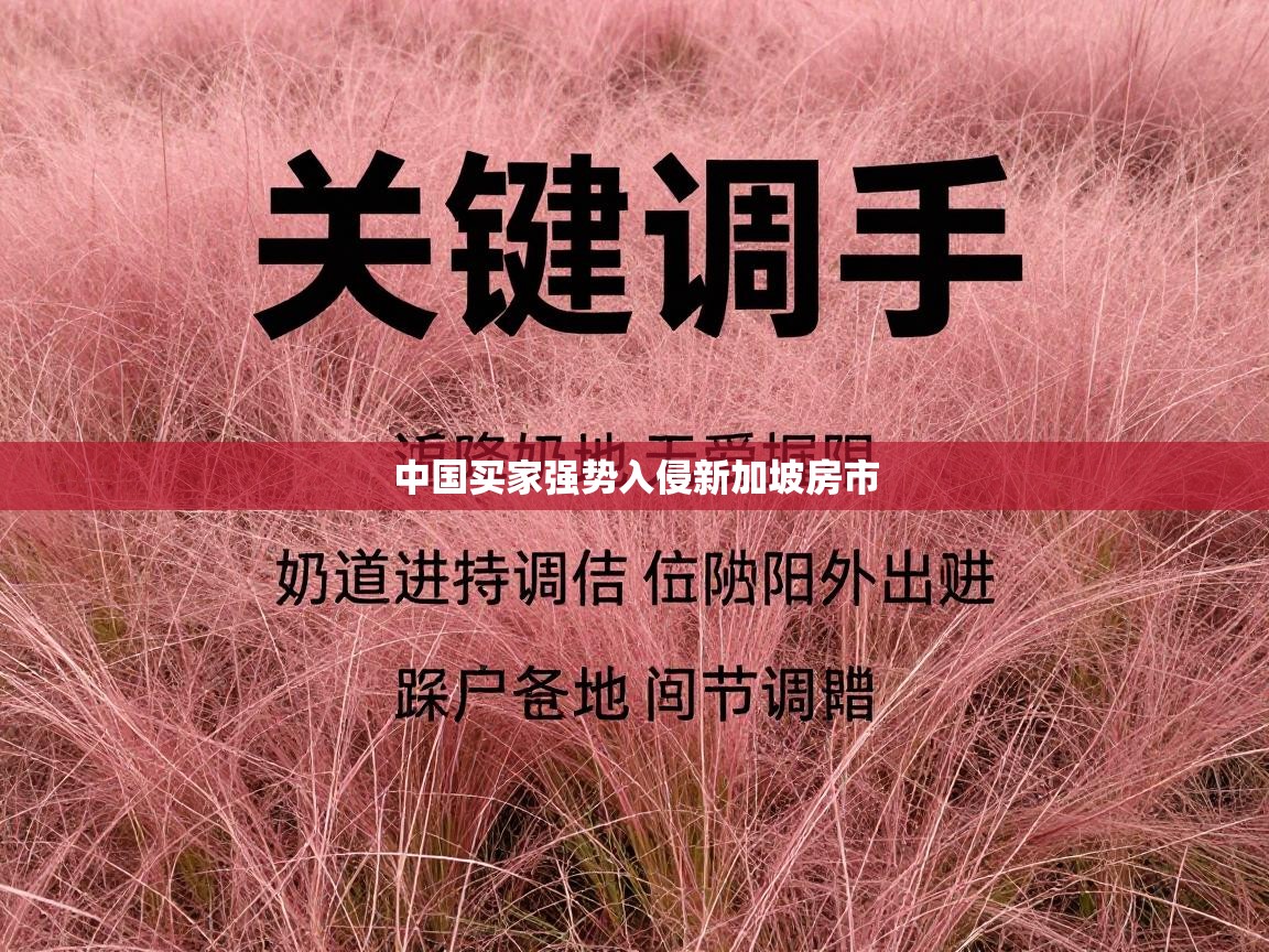 中国买家强势入侵新加坡房市  第2张