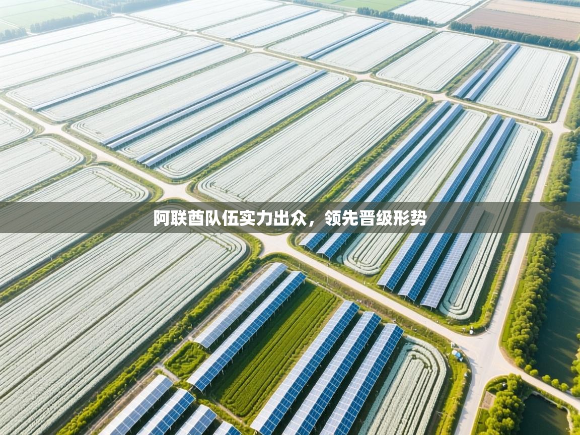 阿联酋队伍实力出众,领先晋级形势 第1张