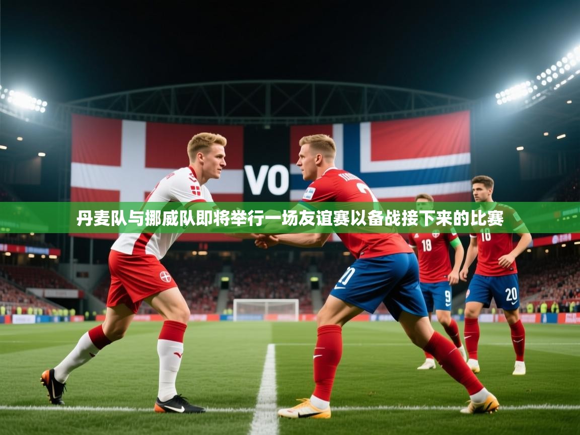 丹麦队与挪威队即将举行一场友谊赛以备战接下来的比赛  第1张