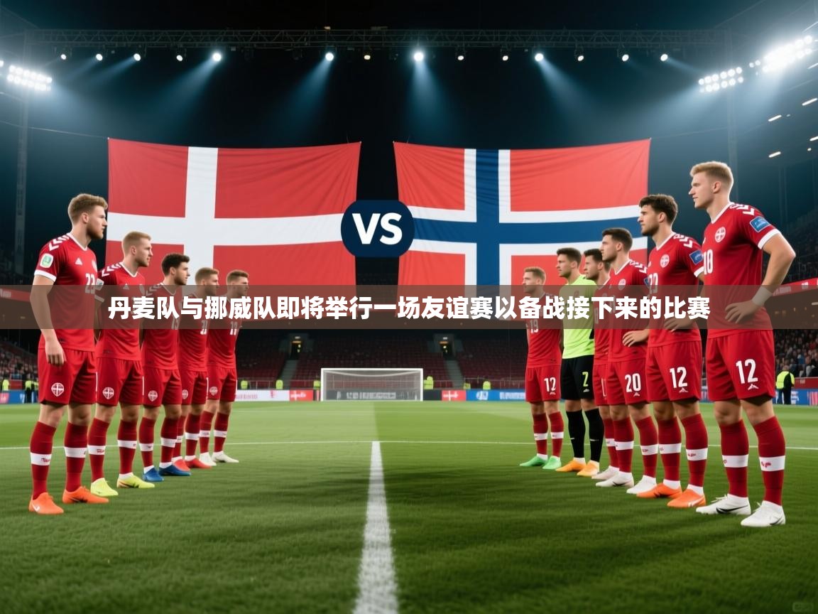 丹麦队与挪威队即将举行一场友谊赛以备战接下来的比赛  第2张