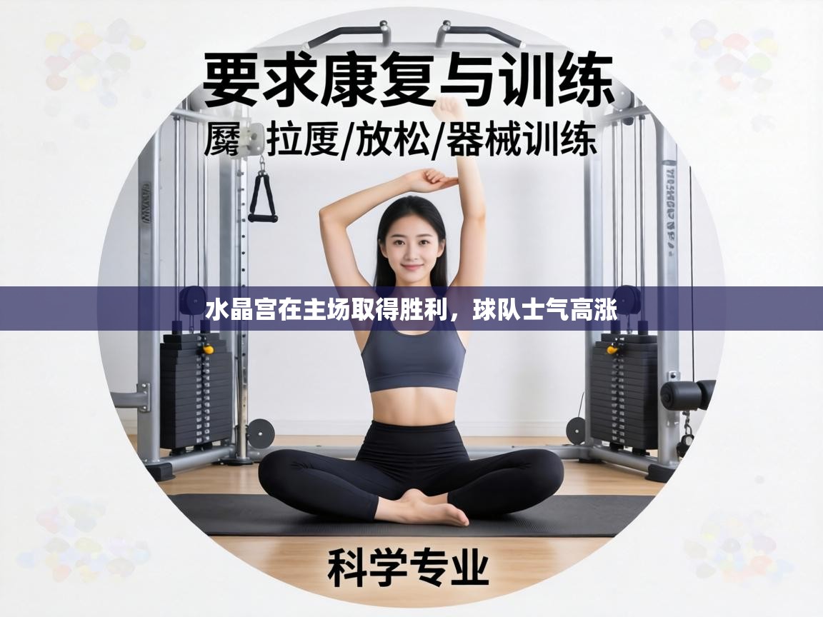 水晶宫在主场取得胜利，球队士气高涨  第1张